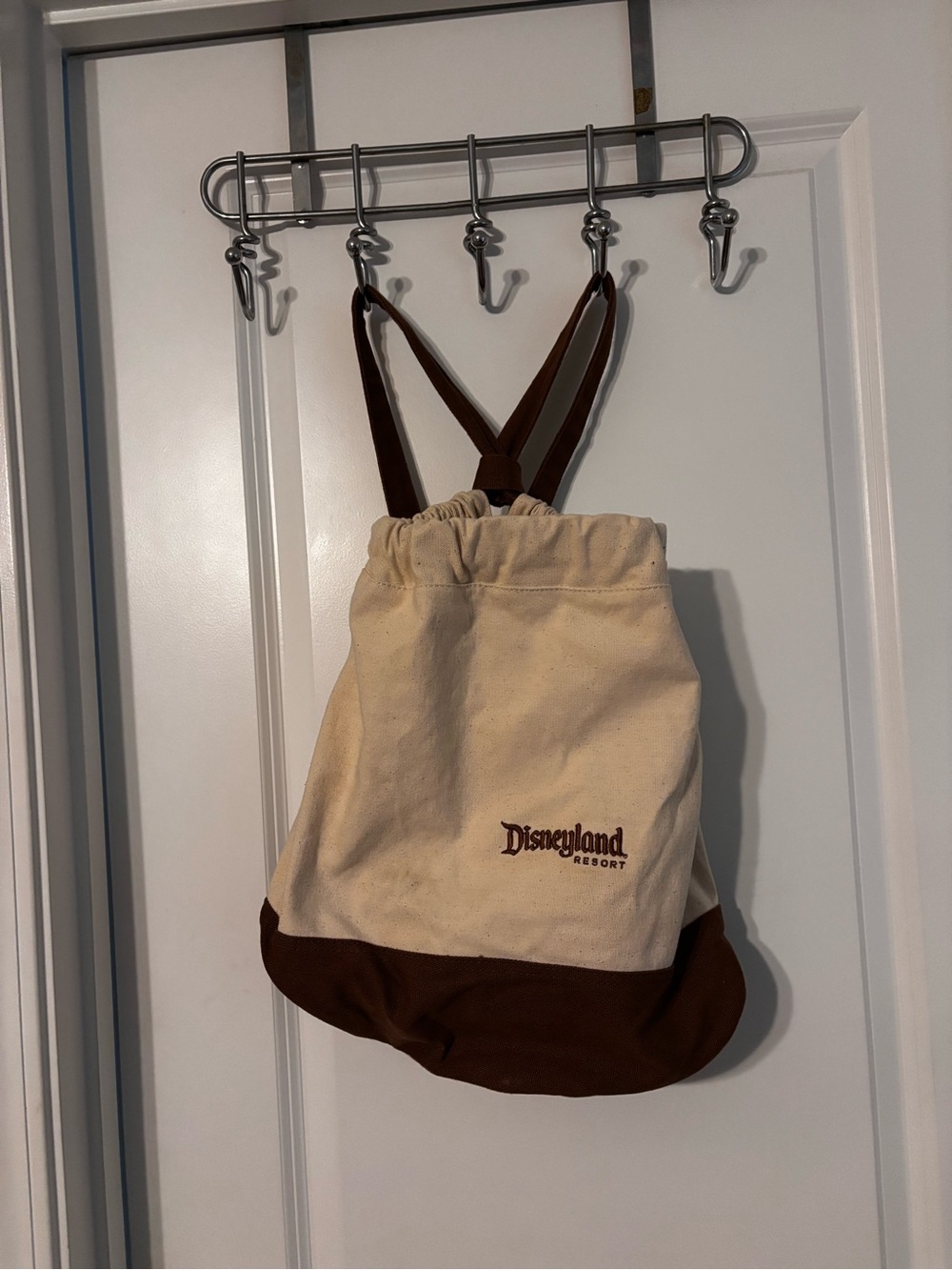 Disneyland Resort Canvas Drawstring Backpack - Beige and Brown